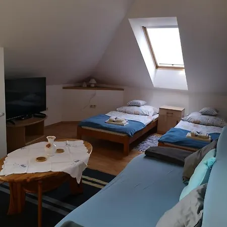 Csillag Haz Homestay