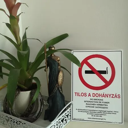 Csillag Haz Homestay